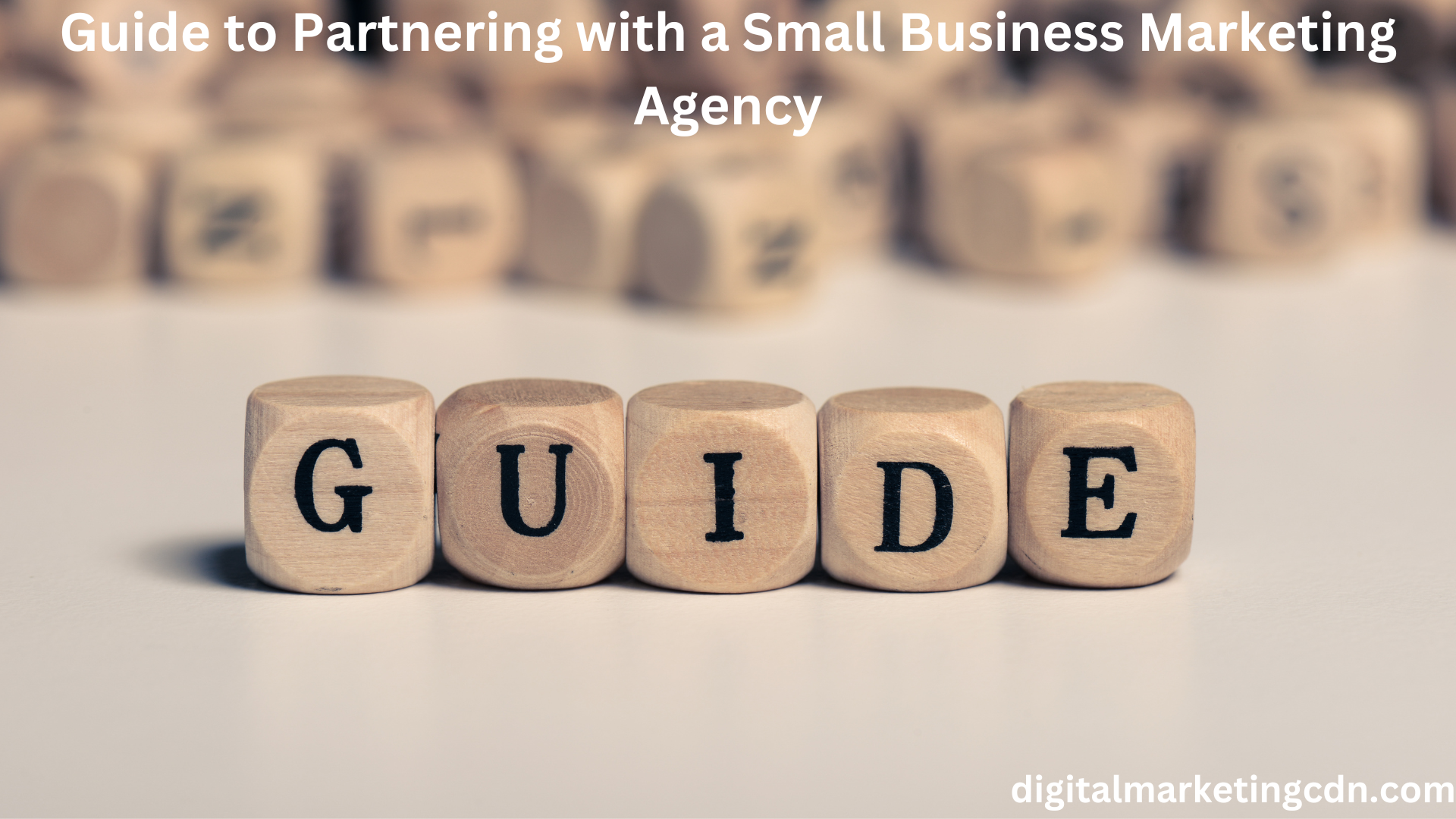 Read more about the article Guide to Partnering with a Small Business Marketing Agency